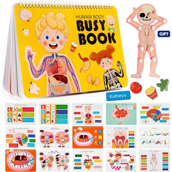 Freebear Montessori Busy Book for Kids, Human Body Anatomy Book for Toddlers, - Picture 1 of 7